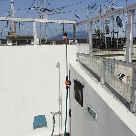 The Philosopher's Roof Daire Napoli